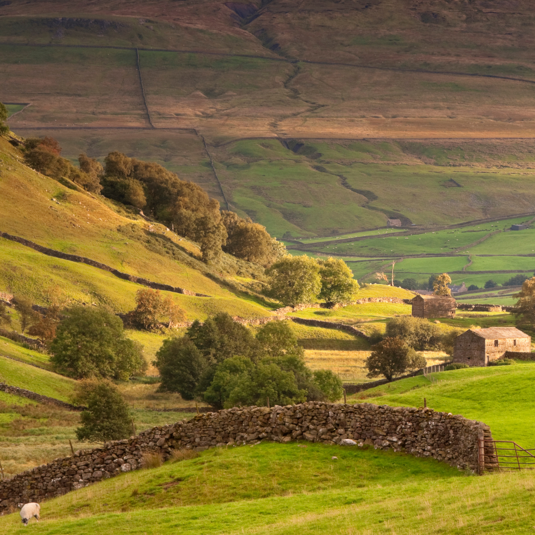 Settle & Wensleydale Creamery